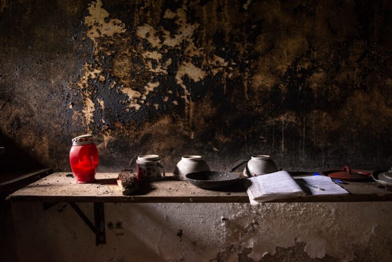 Casa Nera a Prossenicco (UD), Friuli V.G. ph Sara Furlanetto_small